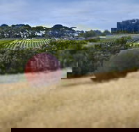 Estate to Plate Montalto Vineyard Gourmet Lunch and Wine-Tasting Tour - Redcliffe Tourism