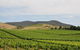 Private Yarra Valley Day Trip From Melbourne - thumb 0