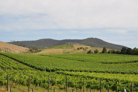 Private Yarra Valley Day Trip From Melbourne - Redcliffe Tourism 0