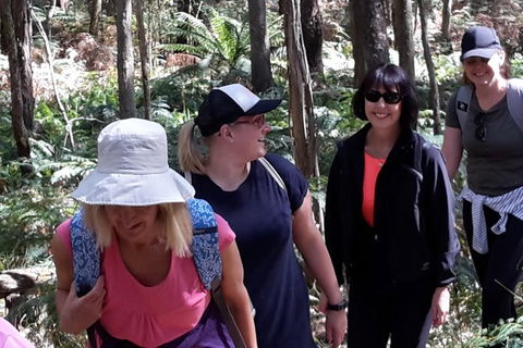 GPS Guided Walks In The Daylesford Forest - Redcliffe Tourism 1
