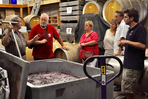 5 Hour Private Wine Tour - Redcliffe Tourism 2