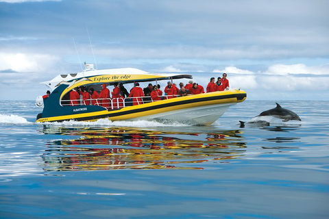 3-Hour Tasman Peninsula Wilderness Cruise From Port Arthur - Redcliffe Tourism 5