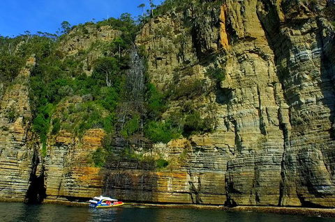 3-Hour Tasman Peninsula Wilderness Cruise From Port Arthur - Redcliffe Tourism 7