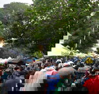 Hobart Half-Day Sightseeing Coach Tram Tour - Redcliffe Tourism