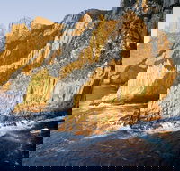 Full-Day Tasman Peninsula Tour from Hobart - Redcliffe Tourism