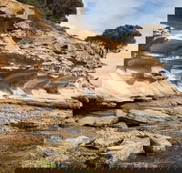 Maria Island premium private photo-oriented day tour from Hobart - Redcliffe Tourism