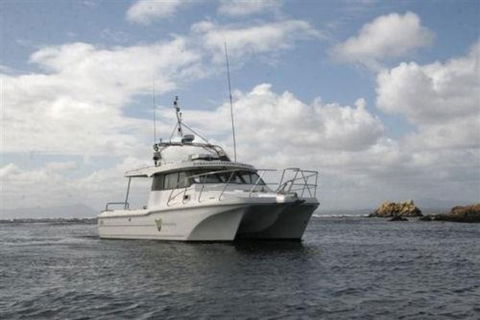 Bonnet Island Experience Departing From Strahan - Redcliffe Tourism 1
