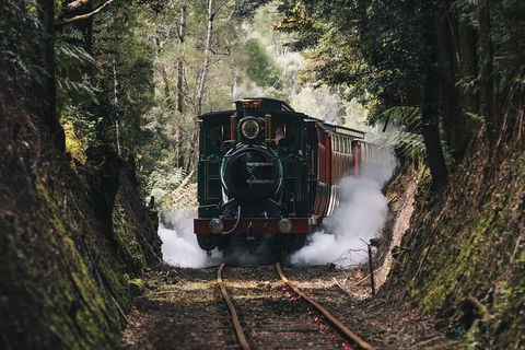 West Coast Wilderness Railway: River And Rainforest From Strahan - Redcliffe Tourism 0