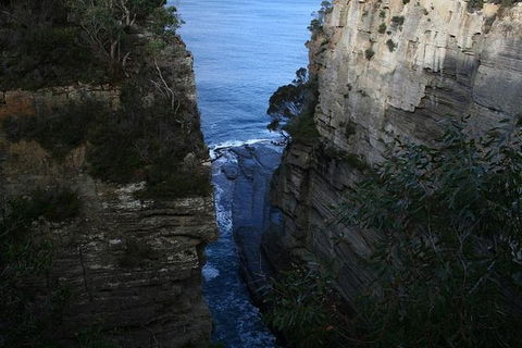 Cruise Ship Special From Port Arthur: Explore Tasman Peninsula With Free WiFi - Redcliffe Tourism 1