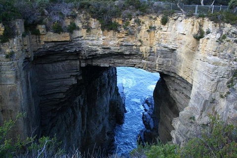 Cruise Ship Special From Port Arthur: Explore Tasman Peninsula With Free WiFi - Redcliffe Tourism 0