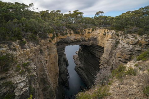 Cruise Ship Special From Port Arthur: Explore Tasman Peninsula With Free WiFi - Redcliffe Tourism 2