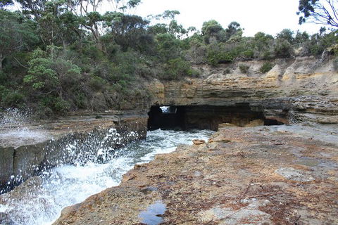 Cruise Ship Special From Port Arthur: Explore Tasman Peninsula With Free WiFi - Redcliffe Tourism 7