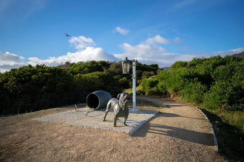 Cruise Ship Special From Port Arthur: Explore Tasman Peninsula With Free WiFi - Redcliffe Tourism 9