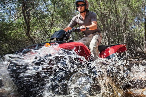 Half-Day Guided ATV Exploration Tour From Coles Bay - Redcliffe Tourism 5