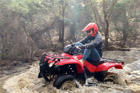 Half-Day Guided ATV Exploration Tour From Coles Bay - Redcliffe Tourism 7