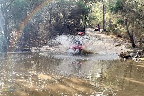 Half-Day Guided ATV Exploration Tour From Coles Bay - Redcliffe Tourism 3