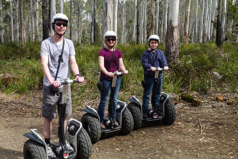 Hollybank Wilderness Adventures - Segway Tour - Redcliffe Tourism 1
