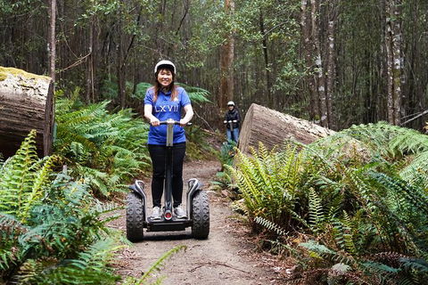 Hollybank Wilderness Adventures - Segway Tour - Redcliffe Tourism 0