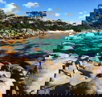 4-Day Tasmania East Coast Adventure from Launceston to Hobart Including Bay of Fires Wineglass Bay Bruny Island and Port Arthu - Redcliffe Tourism