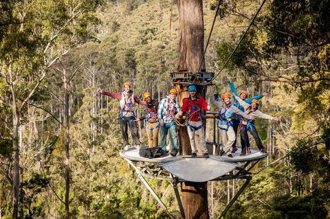 Hollybank Wilderness Adventure - Zipline Tours - Redcliffe Tourism 0