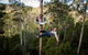 Hollybank Wilderness Adventure - Zipline Tours - thumb 3