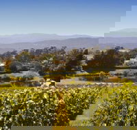 Josef Chromy Wines Winery Tour Including Tasting and Lunch - Redcliffe Tourism