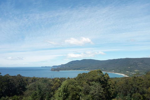 Private Tasman Peninsula Cruise Ship Tour From Port Arthur - Redcliffe Tourism 1