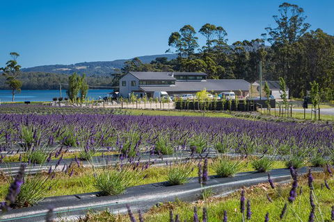Private Tasman Peninsula Cruise Ship Tour From Port Arthur - Redcliffe Tourism 0