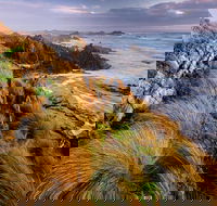 4-Day Tarkine Wilderness Photography Workshop - Redcliffe Tourism
