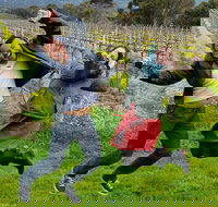 Mclaren Vale Luxury Full Day Small Group Wine Tour - Redcliffe Tourism