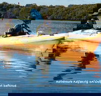 Adelaide Dolphin Sanctuary and Ships Graveyard Kayak Tour - Redcliffe Tourism
