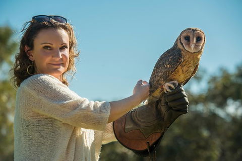 Kangaroo Island Wildlife Day Trip From Adelaide Including Seal Bay - Redcliffe Tourism 1