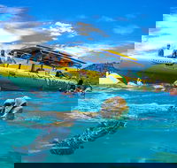 Ocean Rafting Tour to Whitehaven Beach Hill Inlet Lookout  Top Snorkel Spots - Redcliffe Tourism