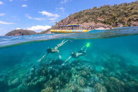 Ocean Rafting Tour To Whitehaven Beach, Hill Inlet Lookout & Top Snorkel Spots - Redcliffe Tourism 16
