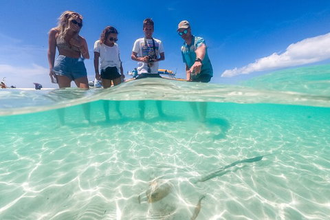 Ocean Rafting Tour To Whitehaven Beach, Hill Inlet Lookout & Top Snorkel Spots - Redcliffe Tourism 24