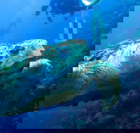 Scuba Dive the S.S. Yongala Wreck on the Great Barrier Reef. - Redcliffe Tourism
