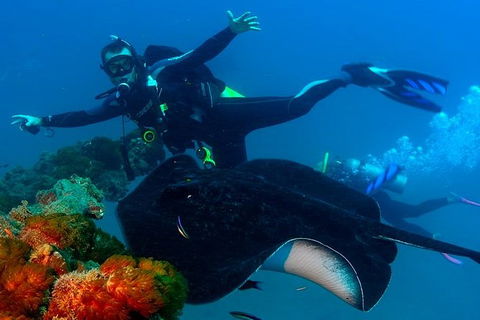 Scuba Dive The S.S. Yongala Wreck On The Great Barrier Reef. - Redcliffe Tourism 5