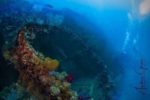 Scuba Dive The S.S. Yongala Wreck On The Great Barrier Reef. - Redcliffe Tourism 3