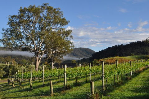 Full Day Mount Tamborine Winery Tour From Gold Coast - Redcliffe Tourism 15