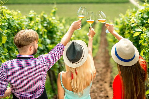 Full Day Mount Tamborine Winery Tour From Gold Coast - Redcliffe Tourism 14