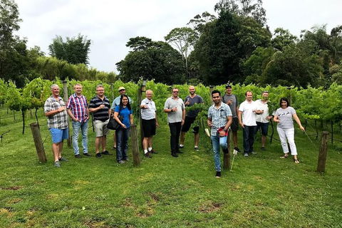 Full Day Mount Tamborine Winery Tour From Gold Coast - Redcliffe Tourism 7