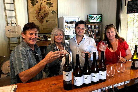 Full Day Mount Tamborine Winery Tour From Gold Coast - Redcliffe Tourism 4