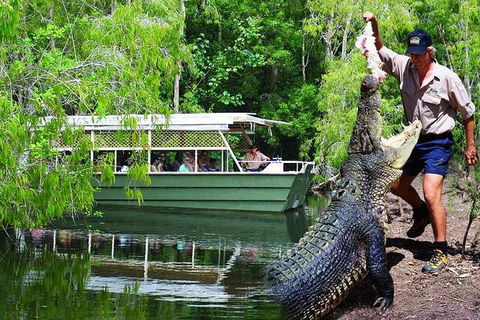 Crocs, Creatures And Culture Tour Ex Cairns - Redcliffe Tourism 1