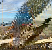 Goolimbil Walkabout Indigenous Experience in the Town of 1770 - Redcliffe Tourism