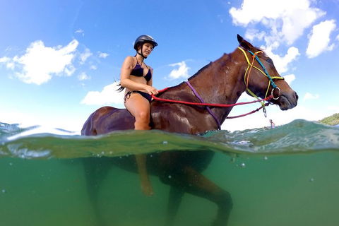 Horse Swimming Ride From Rainbow Beach - Redcliffe Tourism 1
