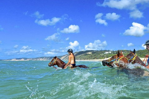 Horse Swimming Ride From Rainbow Beach - Redcliffe Tourism 0