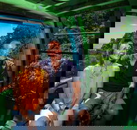 Skyrail Rainforest Cableway Day Trip from Palm Cove - Redcliffe Tourism