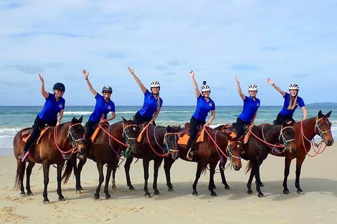 Rainbow Beach Horse Ride - Redcliffe Tourism 4