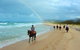 Rainbow Beach Horse Ride - thumb 1
