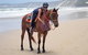 Rainbow Beach Horse Ride - thumb 2
